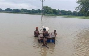 000000000000000000000