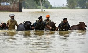 000000000000000000000