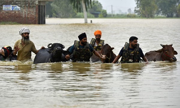 000000000000000000000