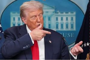 0000000000000000000000