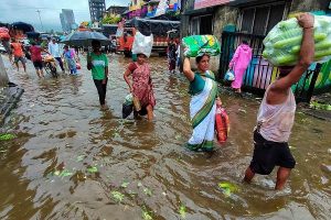 00000000000000000000000