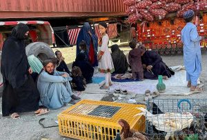 0000000000000000000000