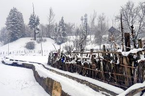 01 000000000000000000000000