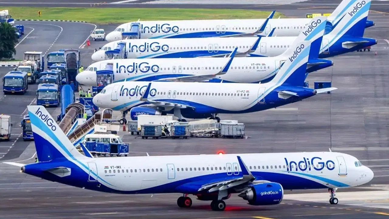 6-indigo-2-1765009517