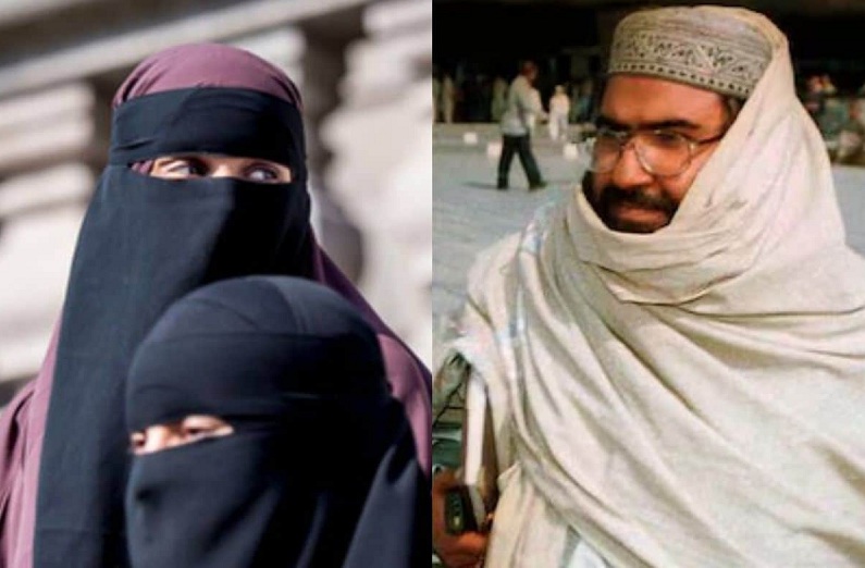 highcort-11-1764920520