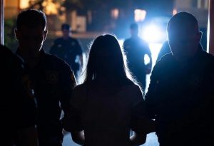 highcort-9-1764918650