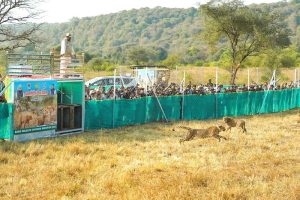 l-bhopal04122508584100-1764875863