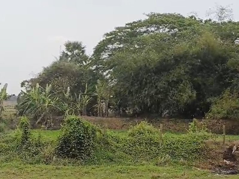 202603173711136-1773748307