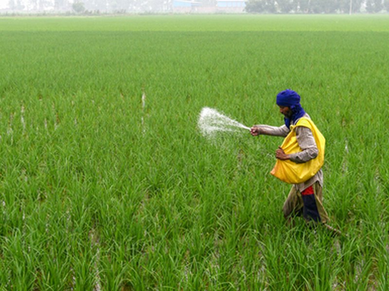 202603193713438-1773916832