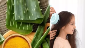24-32-1774354813