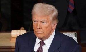 p7_202510311638033669