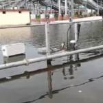 गंगा का रौद्र रूप और बारिश का कहर यूपी में बिगड़े हालात सड़कें जलमग्न घाट डूबे कई गांवों पर बाढ़ का खतरा